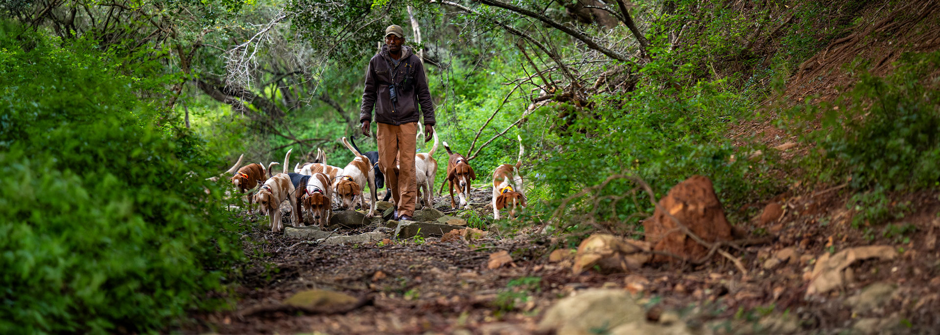 Hunting With Hounds Banner