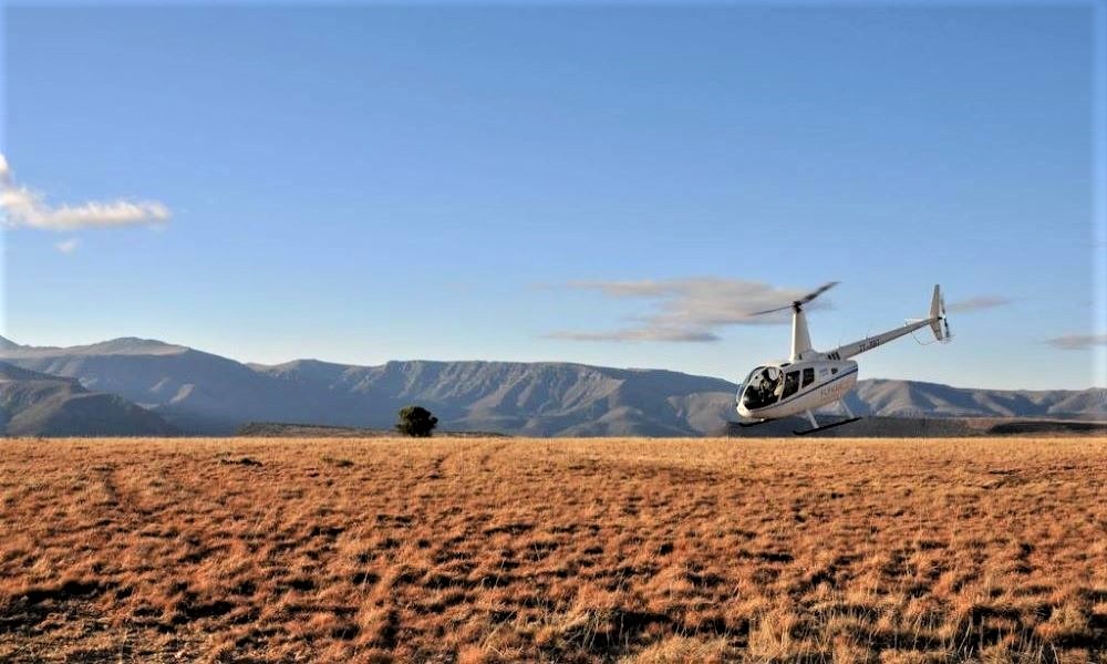 Fly Karoo[1]